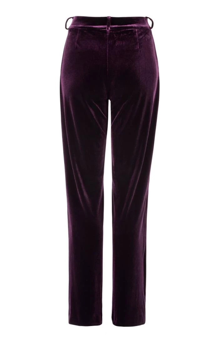 Ladies Velvet Trousers - Image 3
